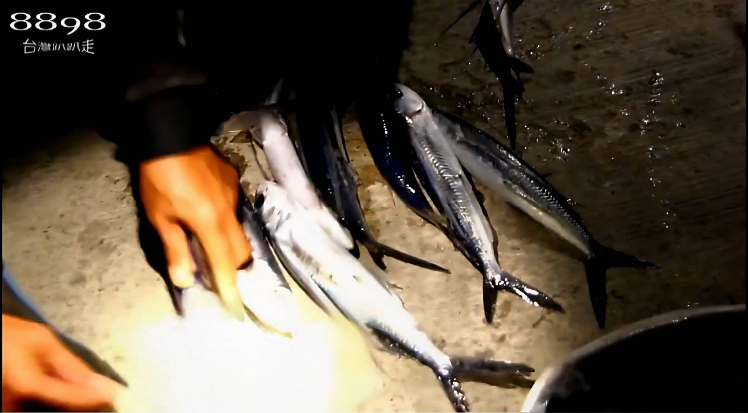 蘭嶼捕飛魚．蘭嶼夜撈飛魚體驗